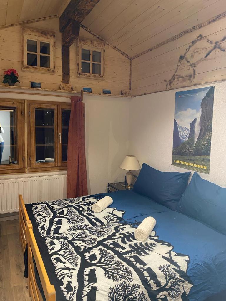 Chalet Baergstaeger Lauterbrunnen Zewnętrze zdjęcie